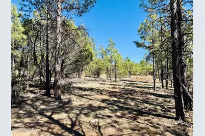 2640 Spoonbill Drive, Happy Jack, AZ 86024 - Photo 97