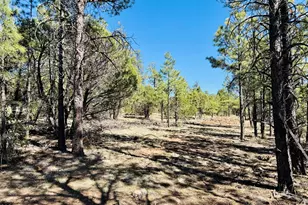 2640 Spoonbill Dr, Happy Jack, AZ 86024 - Photo 97