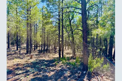 2640 Spoonbill Drive, Happy Jack, AZ 86024 - Photo 95