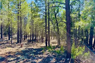 2640 Spoonbill Dr, Happy Jack, AZ 86024 - Photo 95