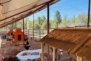 2640 Spoonbill Dr, Happy Jack, AZ 86024 - Photo 13