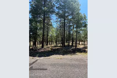 2887 Sparrow Drive #21, Happy Jack, AZ 86024 - Photo 1