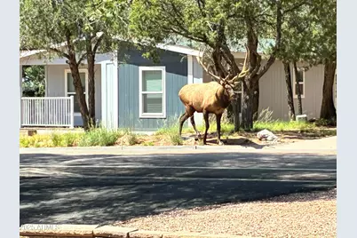 604 E Bonita Street, Payson, AZ 85541 - Photo 1