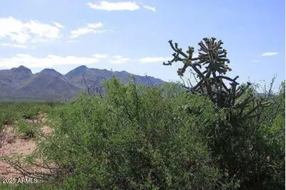 10683 N Wiegand Pratt Road #-, Elfrida, AZ 85610 - Photo 9