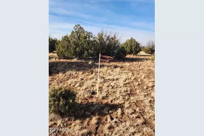 4 Parcels N Shady Oak 404-69-005 /10+acres -- #C, Show Low, AZ 85901 - Photo 15