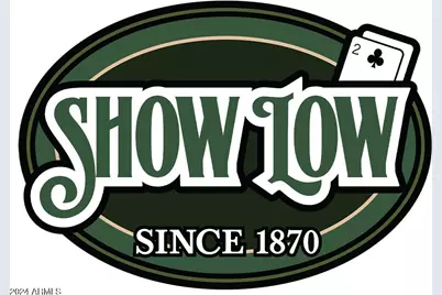 4 Parcels N Shady Oak 404-69-005 /10+acres -- #C, Show Low, AZ 85901 - Photo 31