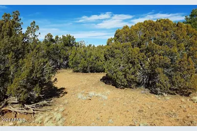4 Parcels N Shady Oak 404-69-005 /10+acres -- #C, Show Low, AZ 85901 - Photo 1