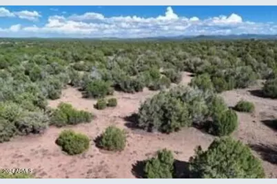 4 Parcels N Shady Oak 404-69-005 /10+acres -- #E, Show Low, AZ 85901 - Photo 27