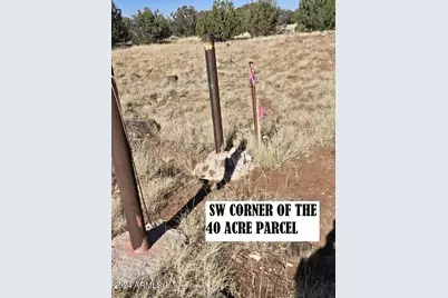 4 Parcels N Shady Oak 404-69-005 /10+acres -- #E, Show Low, AZ 85901 - Photo 9