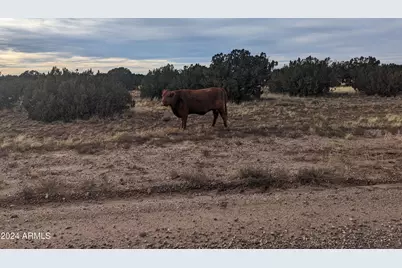 4 Parcels N Shady Oak 404-69-005 /10+acres -- #F, Show Low, AZ 85901 - Photo 21