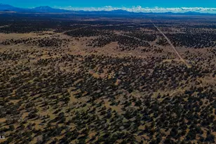 5823 Cattle Guard Rd 21 41 Acres --, Williams, AZ 86046 - Photo 41