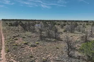 5823 Cattle Guard Rd 21 41 Acres --, Williams, AZ 86046 - Photo 45