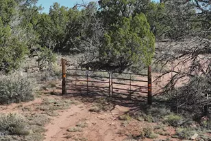 5823 Cattle Guard Rd 21 41 Acres --, Williams, AZ 86046 - Photo 7