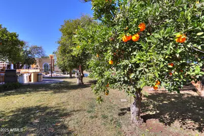 3816 E Minton Place, Mesa, AZ 85215 - Photo 97