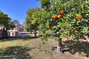 3816 E Minton Pl, Mesa, AZ 85215 - Photo 97