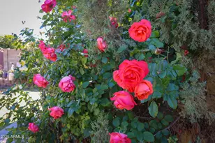 3816 E Minton Pl, Mesa, AZ 85215 - Photo 95