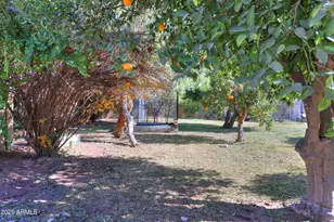 3816 E Minton Pl, Mesa, AZ 85215 - Photo 109