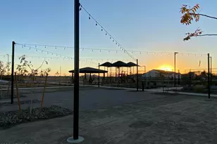 1151 E Peach Tree Dr, Chandler, AZ 85249 - Photo 31