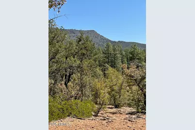 0 Fawn Drive #5, Pine, AZ 85544 - Photo 61