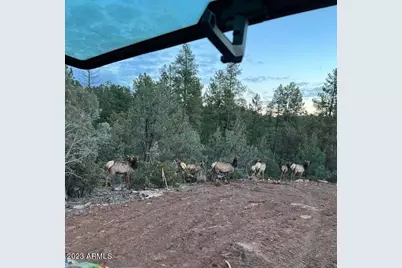 0 Fawn Drive #5, Pine, AZ 85544 - Photo 9