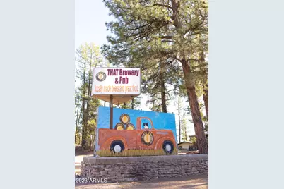 0 Fawn Drive #5, Pine, AZ 85544 - Photo 49