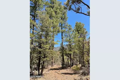 0 Fawn Drive #5, Pine, AZ 85544 - Photo 11