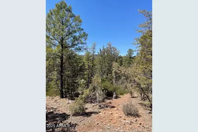 0 Fawn Drive #5, Pine, AZ 85544 - Photo 67