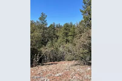 0 Fawn Drive #5, Pine, AZ 85544 - Photo 65
