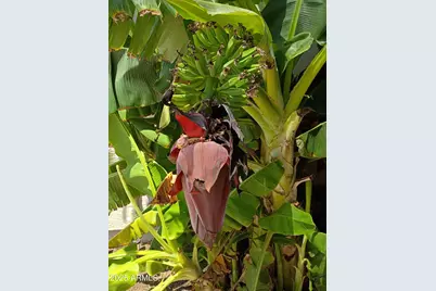 4018 E Harrison Street, Gilbert, AZ 85295 - Photo 15