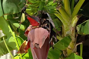 4018 E Harrison St, Gilbert, AZ 85295 - Photo 15