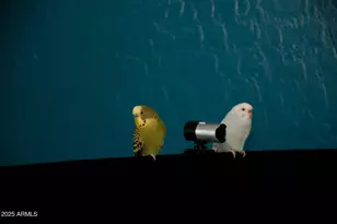 2074 E 37th Ave, Apache Junction, AZ 85119 - Photo 23