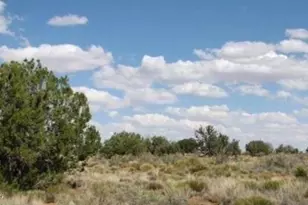 Tbd Chevelon Canyon Ranch 363 --, Heber, AZ 85928 - Photo 1