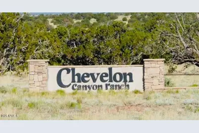 Tbd Chevelon Canyon Ranch 363 -- #363, Heber, AZ 85928 - Photo 3