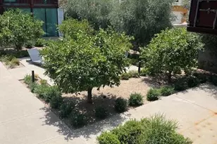 1436 S Terrace Rd, Tempe, AZ 85281 - Photo 23