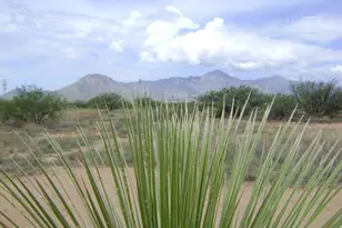 0000 E Cactus Ranch Rd, Hereford, AZ 85615 - Photo 1