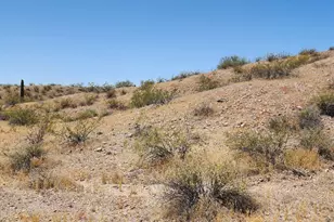 333Xx W Glenrosa Ave, Tonopah, AZ 85354 - Photo 1