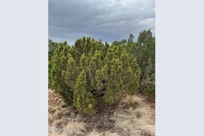 8776 Clark Road #-, Show Low, AZ 85901 - Photo 3