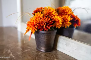 35834 W Cartegna Ln, Maricopa, AZ 85138 - Photo 59