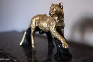 35834 W Cartegna Ln, Maricopa, AZ 85138 - Photo 57