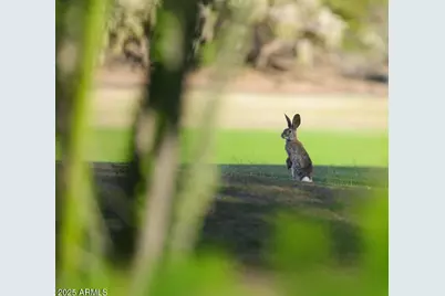 1637 N Quartz Valley Road, Scottsdale, AZ 85266 - Photo 67