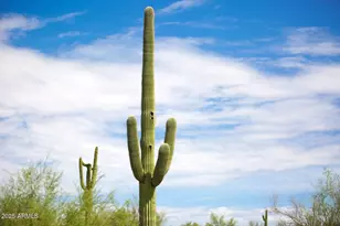 2304 Fox Tail Trail, Carefree, AZ 85377 - Photo 67