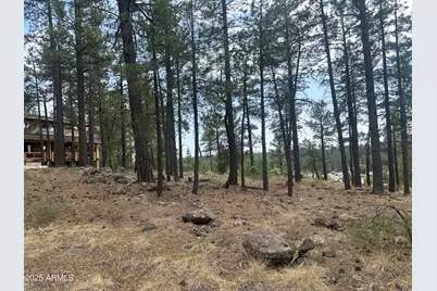 395 W Lazy Pine Lane #-, Munds Park, AZ 86017 - Photo 9