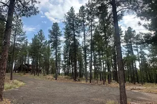 395 W Lazy Pne Ln, Munds Park, AZ 86017 - Photo 1