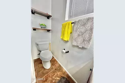 867 S Del Rio Court, Apache Junction, AZ 85120 - Photo 25