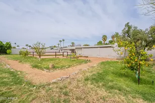 3743 E Coronado Rd, Phoenix, AZ 85008 - Photo 67
