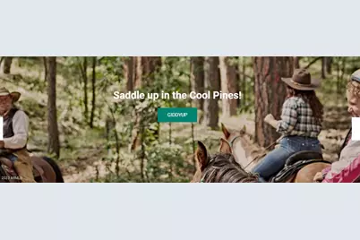 98 Aspen Drive, Mormon Lake, AZ 86038 - Photo 23