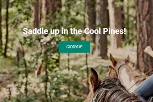 98 Aspen Dr, Mormon Lake, AZ 86038 - Photo 23