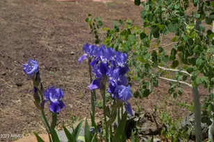 98 Aspen Dr, Mormon Lake, AZ 86038 - Photo 19