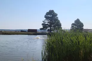 98 Aspen Dr, Mormon Lake, AZ 86038 - Photo 25