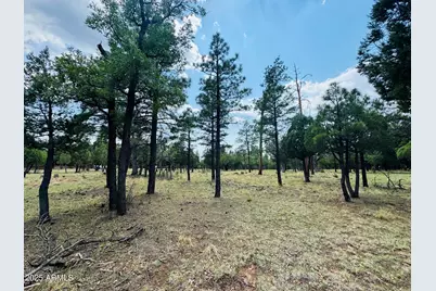 3266 Durango, Happy Jack, AZ 86024 - Photo 1